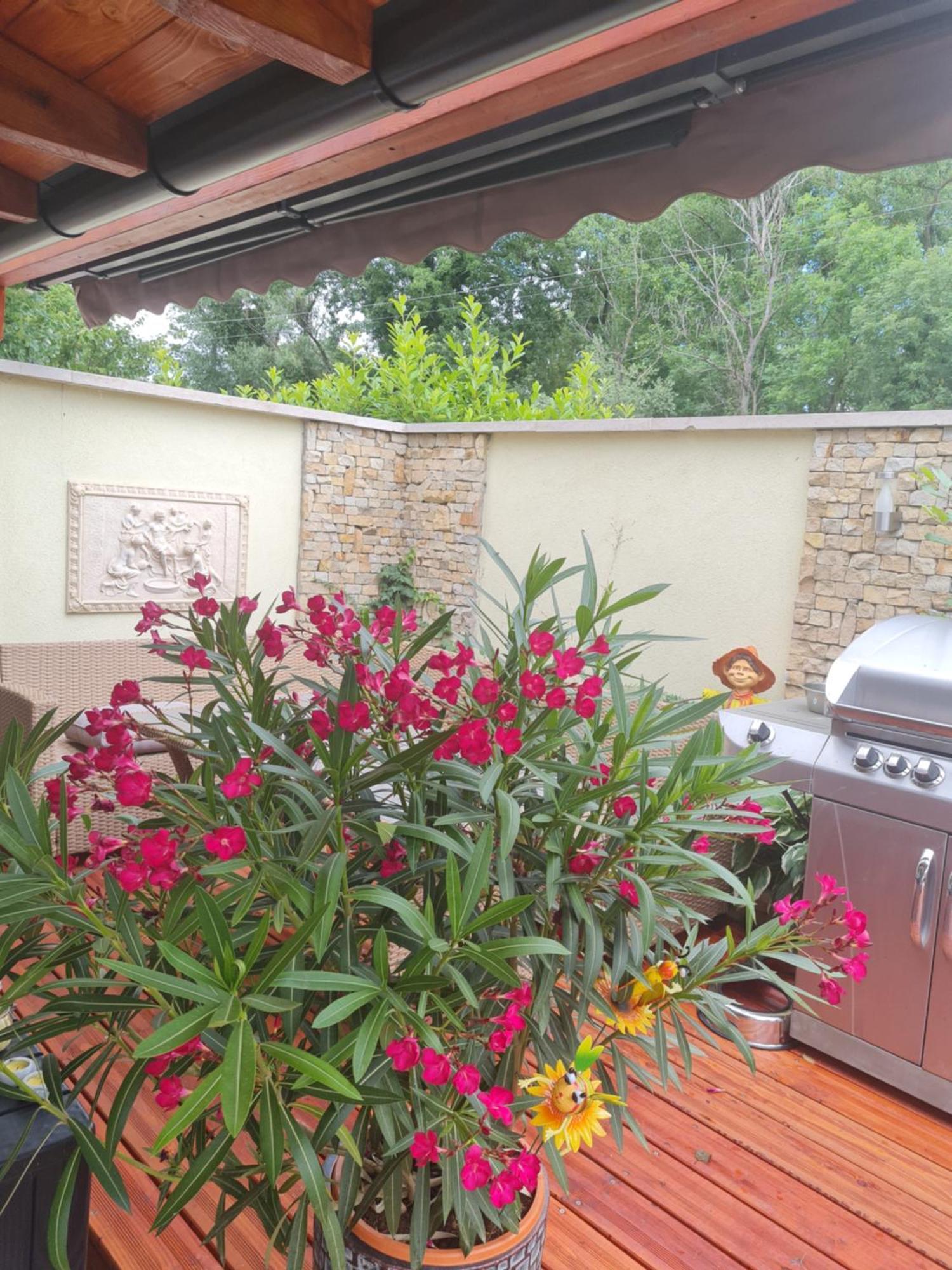 Flamingo Apartman Balatonszarszo Esterno foto